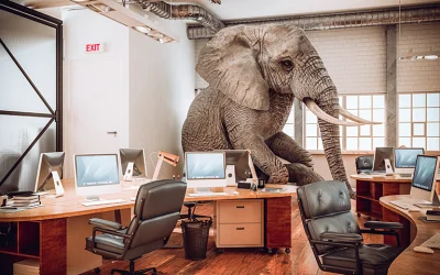 Danger, There’s an Elephant in the Room.